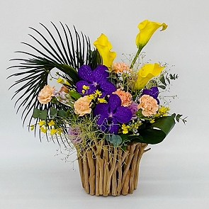 MD2812 Blossoming Joy  (Sold Out)